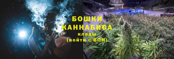 молекула духа Беломорск