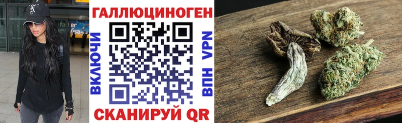 Псилоцибиновые грибы Psilocybe  закладка  Светогорск 